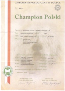 Polnischerchampion